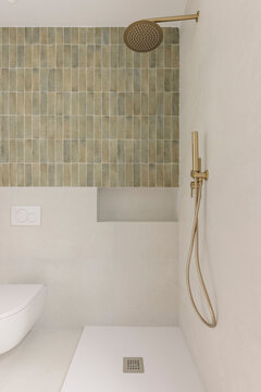 Gold shower and toilet detail