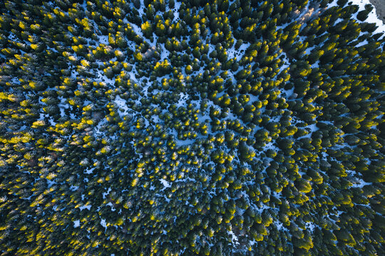 Top down drone shots of Morning Sun Rising Over Snowy Pines