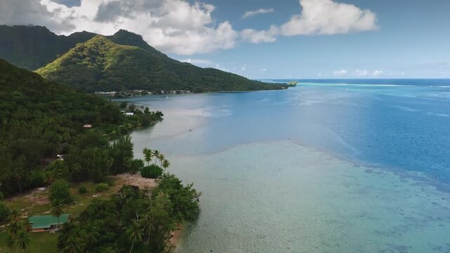 Aerial flight over Moorea island coastline lush green mountains, a peaceful blue lagoon, clear turquoise ocean water, and a tropical resort surrounded by abundant palm trees and vibrant vegetation