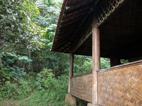 Traditional bamboo hut tucked in a lush tropical forest with natural soft lighting and serene rustic atmosphere