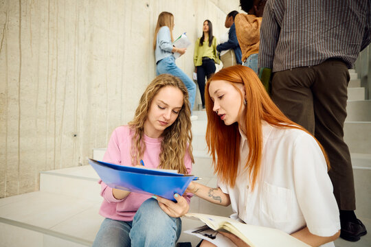 Students Study Together in a Public Space