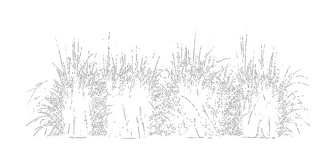 Fototapeta premium Distressed grass and garden hedge silhouettes with organic textures for landscape architecture rendering and outdoor scene decoration on transparent background.