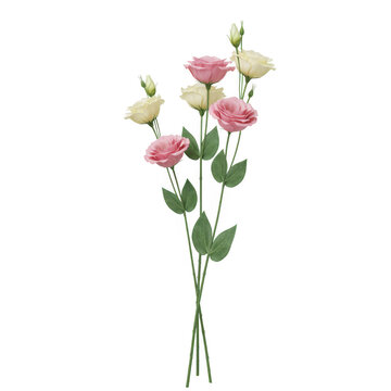 Photorealistic 3d cgi render of elegant white lily and minimalist flowers isolated on dark background for premium graphic design