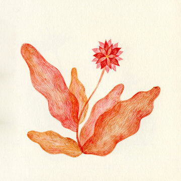 Orange flower art