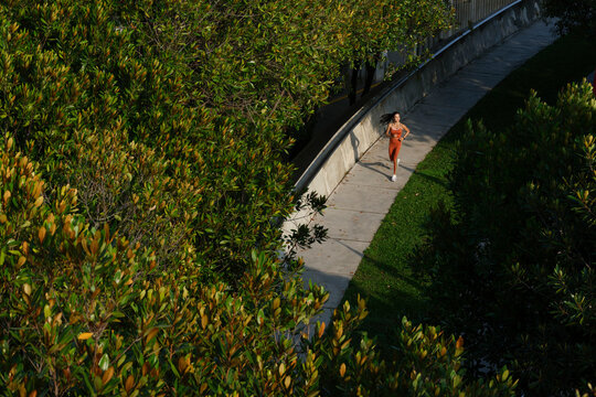 Woman jogging along a tree-lined urban pathway