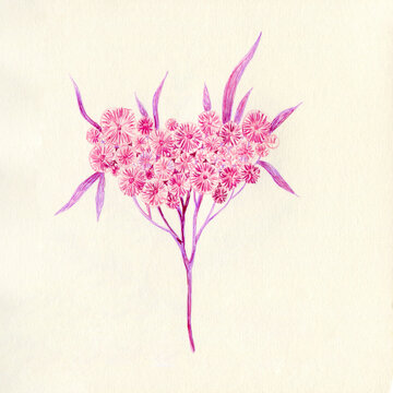 Pink romantic flowers