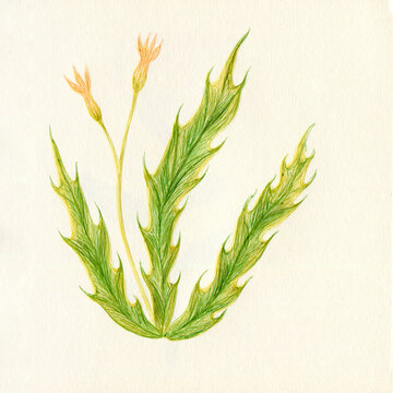 Simple flower