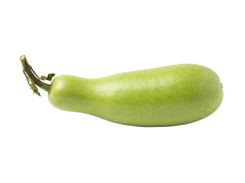 Fresh light green bottle gourd isolated on a pure white background