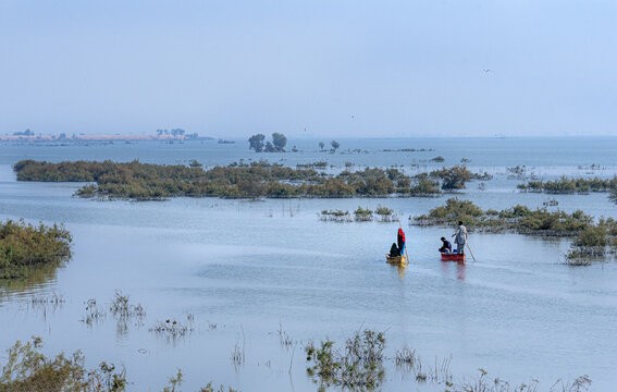 Dadu District, Sindh, Pakistan - 30 January 2020: View of Mohana people in small wooden boats on the calm waters of Manchar Lake, surrounded by submerged vegetation under a clear sky.