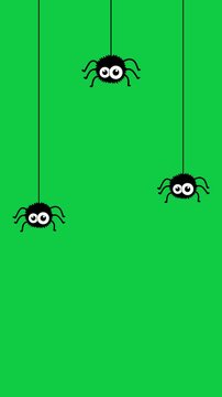 halloween spiders on nets loop isolated green screen animation,chroma key hanging spider set scary party celebration vertical social media motion design element