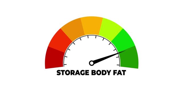 Storage body fat bad level on measure scale. Instrument scale with arrow. Colorful infographic gauge element. Healthy life information.