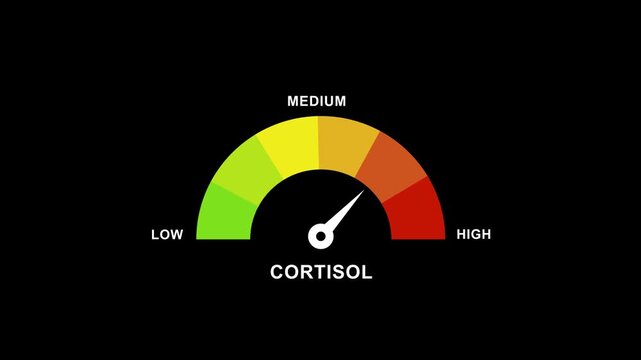 Cortisol level gauge meter animation showing stress and hormone levels rising from low to