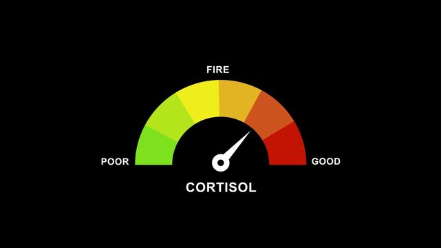 Cortisol level gauge meter animation: stress management and health monitoring concept hormone