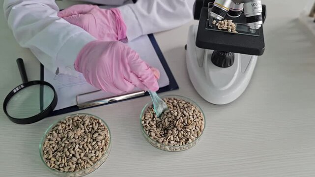 Microscope and seeds used for scientific study in laboratory