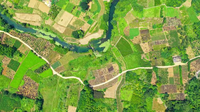 Overhead drone view of patchwork farms, orchards and winding river in the lush countryside of Guilin, China, ideal for agriculture and rural landscape concepts.
