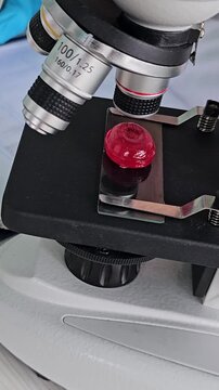 Exploring candy under a microscope in a lab setting