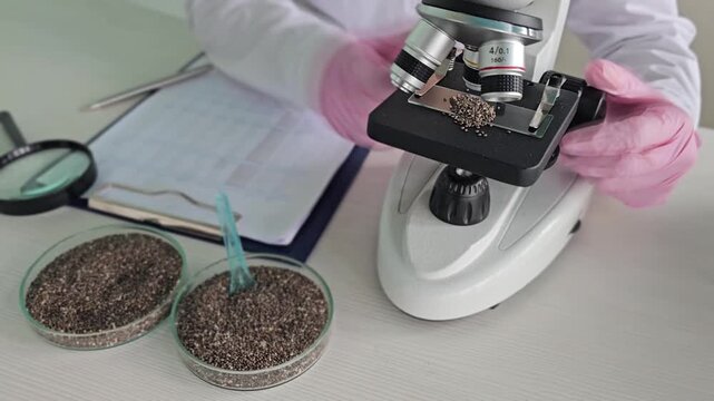 A microscope examines tiny chia seeds on a glass slide in a laboratory