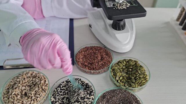 Research on various seeds in a lab setting with a microscope and data analysis concept