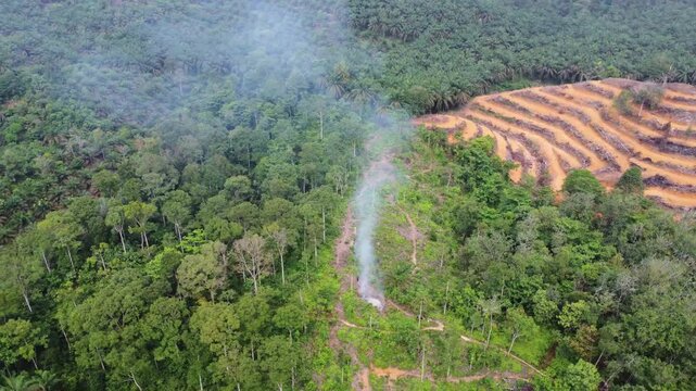 Aerial view of deforestation and smoke rising from a forest fire near a palm oil plantation in Langkat, North Sumatera, Indonesia.