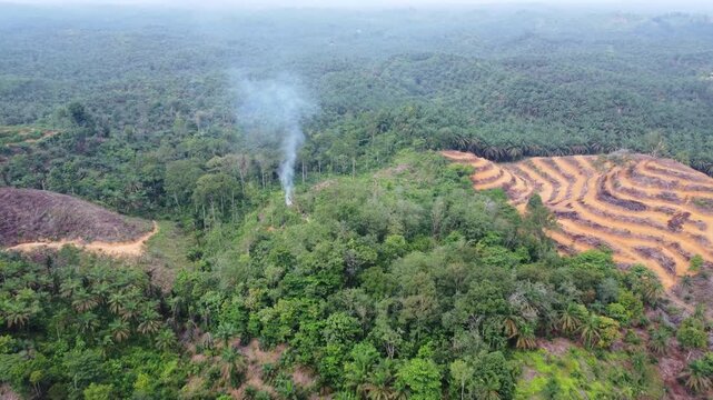 Aerial view of smoke rising from a deforested area in a tropical forest with land clearing visible in Langkat, North Sumatera, Indonesia.