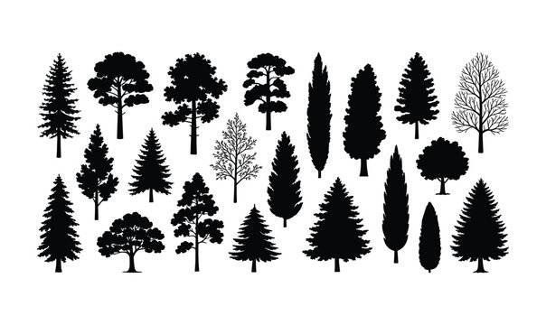 Collection of Tree Silhouettes: A diverse array of tree silhouettes, including evergreens, deciduous trees, and conifers, presented in a graphic style on a clean background.
