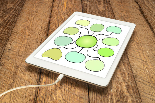 blank mind map sketch, infographics template