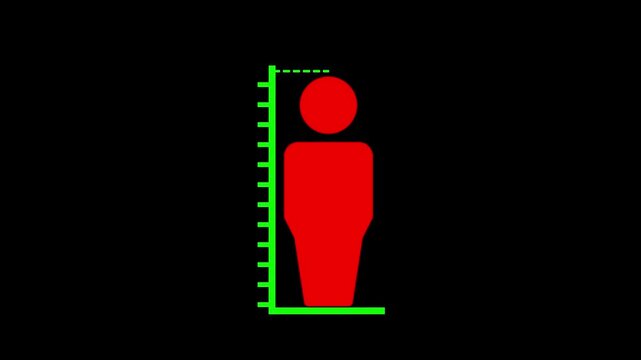 Measuring height body icon. Human body size growth measuring icon animation. A person with a height measurement scale.