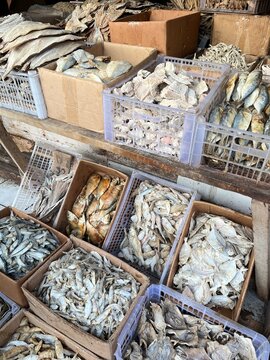 dried fish or salted fish or ikan asin in bahasa