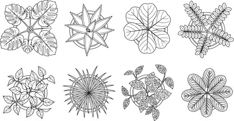 Obraz premium Top view set of hand drawn indoor potted plants in black and white line art vector illustration