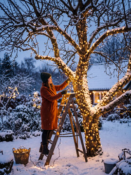 A woman decorates a snow-covered garden tree with glowing string lights while standing on a wooden ladder during a peaceful winter evening.