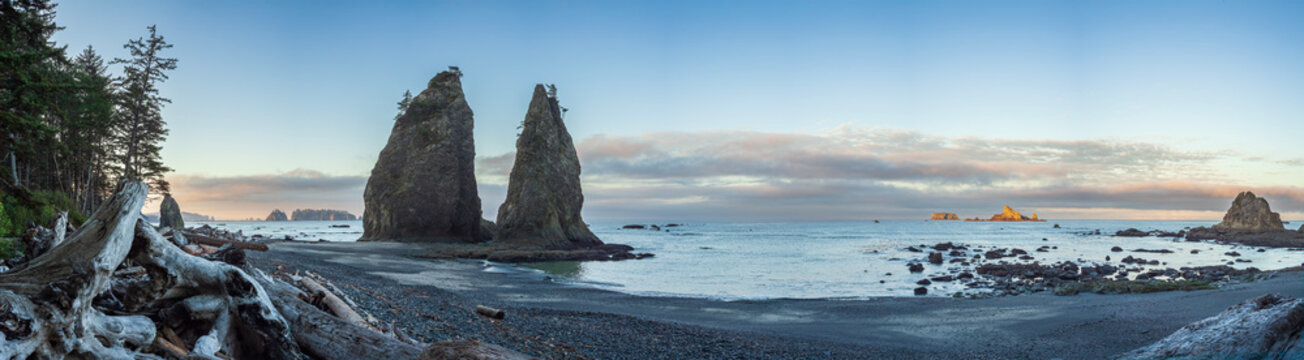 Beautiful wide panoramic view of a wild ocean beach with sea stacks and driftwood logs at sunset