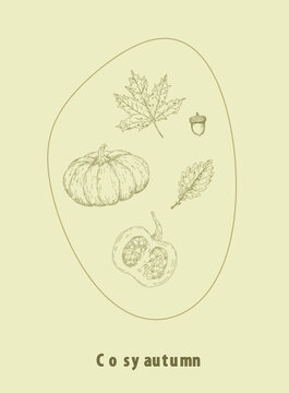 Vector autumn poster with hand drawn pumpkins, leaves and acorn. Minimalist holiday greeting card with text typography isolated on background. Elegant seasonal farmhouse illustration with sketch for m