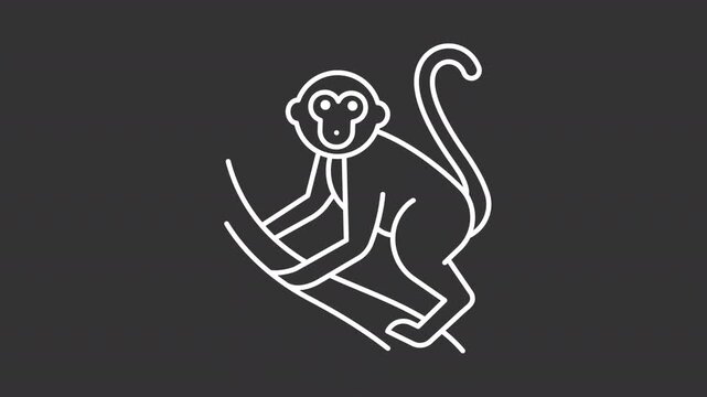 Monkey climbing a branch white line animation. Wildlife animal animated icon. Simian animal climbing branches. Curving long tail detail. Isolated element on dark background. Alpha transparent video