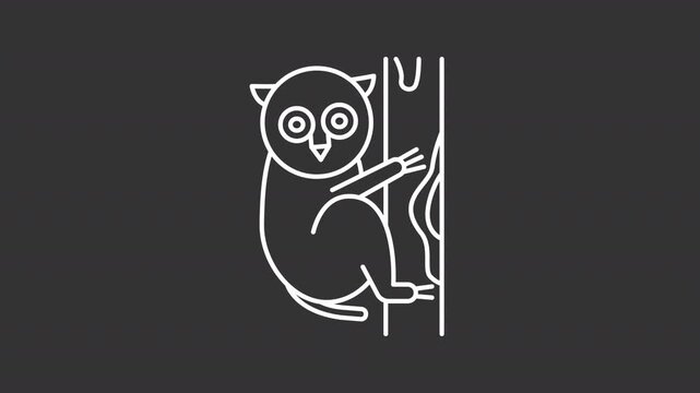 Tarsier clinging to tree white line animation. Nocturnal animal animated icon. Large circular eyes. Vertical tree branch. Isolated element on dark background. Alpha transparent video