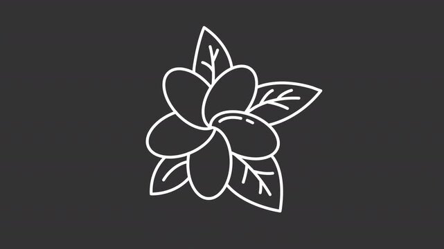 Animated symmetrical flower five petal arrangement line icon. Pointed green leaf accents animation. Tropical plumeria flower. Isolated element on dark background. Alpha transparent video