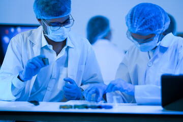 A male and female scientist discuss analysis before DNA graphics in a modern genetics laboratory...