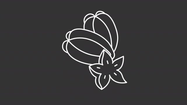 Tropical exotic fruit white line animation. Carambola fruit animated icon. Five point star slice. Small inner seeds. Healthy eating. Isolated element on dark background. Alpha transparent video