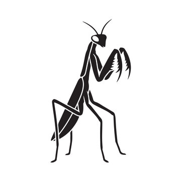 Mantis vector icon, black insect silhouette on white background logo