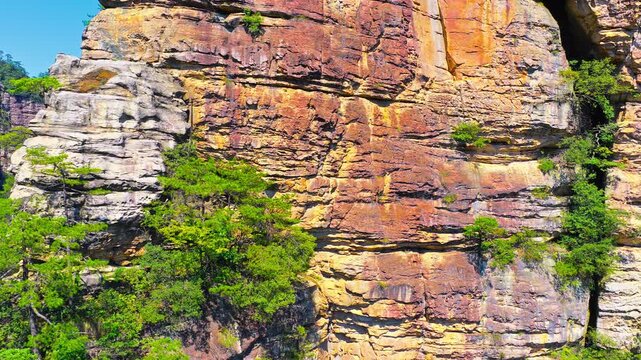 Rugged stratified sandstone cliff with trees and shrubs growing from rock fissures, showcasing vivid geological texture for travel, geology, and conservation themes.