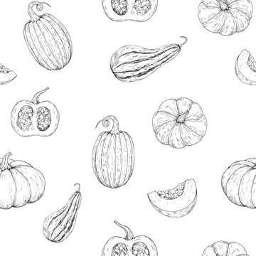 Vector pumpkin seamless pattern. Vegetable seeds, graphic hand drawn isolated illustration. Halloween autumn perfect for harvest and thanksgiving themes. Isolated botanical illustration for seasonal f