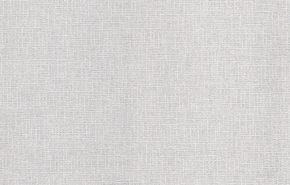 Deep canvas paper texture sets tight crosshatched grain within shallow woven relief across the background, producing an even canvas tooth for ink drawing as well as watercolor studies