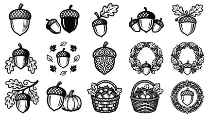 A collection of hand drawn style acorn illustrations designed as a thanksgiving icon set for seasonal autumn and fall holiday projects © MdHabibur