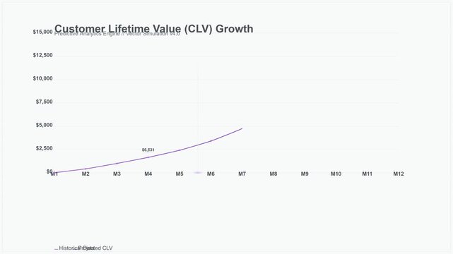 Customer Lifetime Value Growth Graph Showing Rising Business Revenue Performance