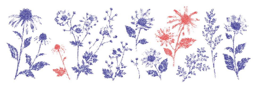 Wildflowers with speckled stipple shading, rough ink detail and delicate botanical silhouettes. Floral halftone print elements for collage, posters and editorial design. Vector illustration