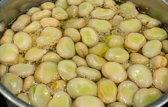 Broad beans or fava beans closeup