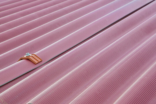 New roof with colored corrugated plastic plate