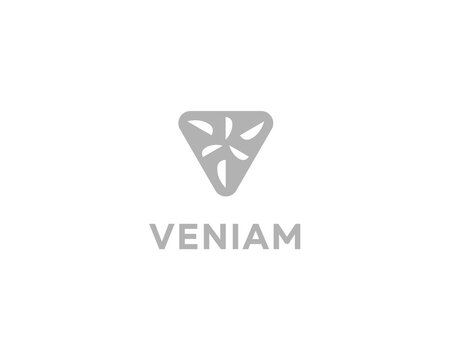 Grey triangular abstract logo with a floral or propeller pattern inside. Modern minimalist logotype for corporate business, technology and digital innovation agency branding.