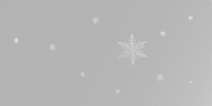 Light snowflakes falling across cold winter air in a simple clean and softly festive composition