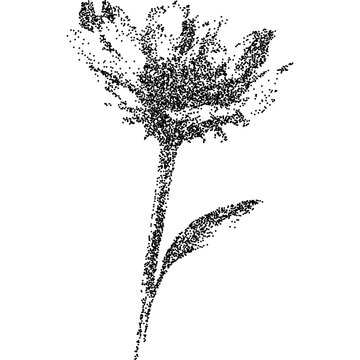 Flower with retro photocopy stipple effect, for grunge punk y2k collage design. Vector illustration in vintage halftone dot dither design for banner or poster
