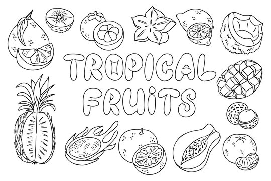 Tropical fruits coloring page featuring various fruits including pineapple, mango, coconut, and starfruit arranged around the central text in a playful, outlined design